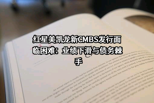 红星美凯龙家居集团股份有限公司