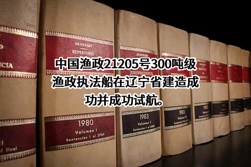 江龙船艇科技股份有限公司