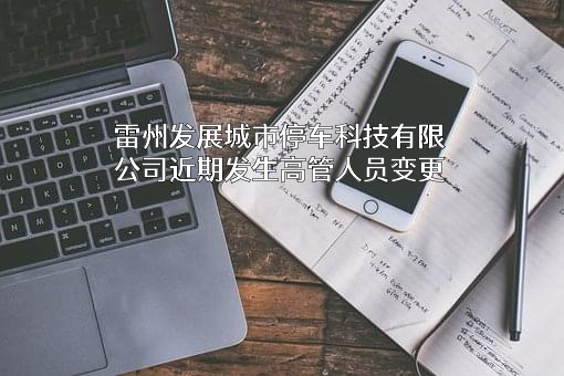 雷州发展城市停车科技有限公司
