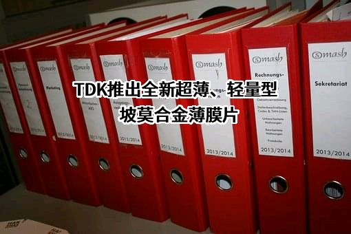 厦门TDK有限公司