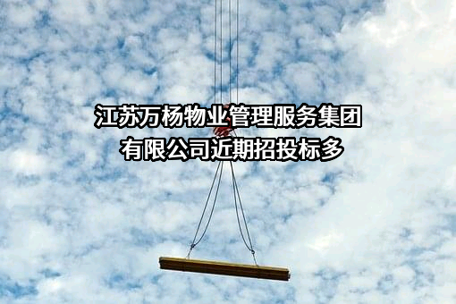 江苏万杨物业管理服务集团有限公司