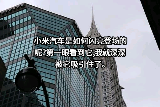 小米汽车有限公司
