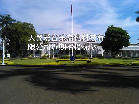 天翼爱音乐文化科技有限公司