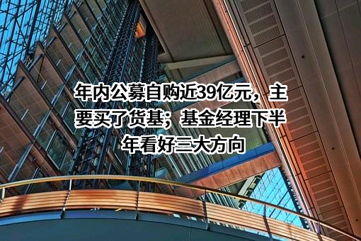 年内公募自购近39亿元，主要买了货基；基金经理下半年看好三大方向