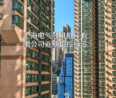 上海电气鼓风机厂有限公司