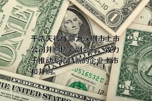深圳市上市公司并购协会