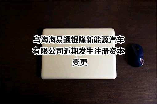 乌海海易通银隆新能源汽车有限公司