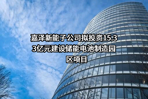 宁夏嘉泽新能源股份有限公司