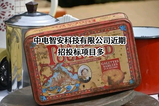 中电智安科技有限公司