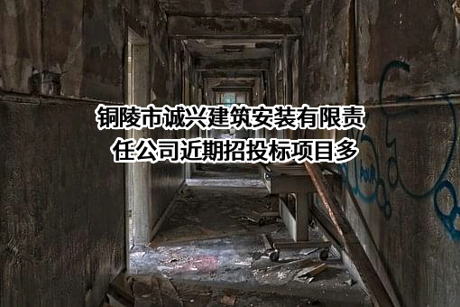 铜陵市诚兴建筑安装有限责任公司