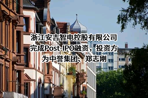 浙江安吉智电控股有限公司