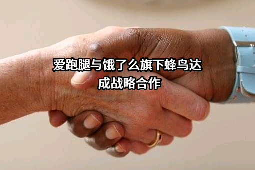 温州迈拓网络科技有限公司