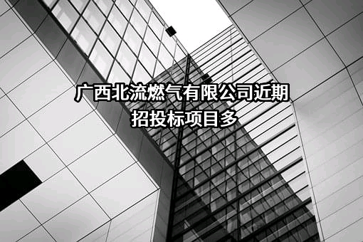 广西北流燃气有限公司近期招投标项目多