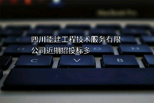 四川能建工程技术服务有限公司