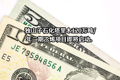 新疆独山子国际石化有限公司