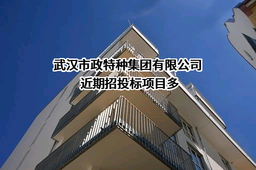 武汉市政特种集团有限公司近期招投标项目多