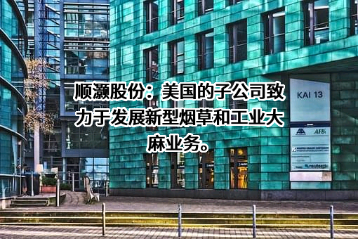上海顺灏新材料科技股份有限公司