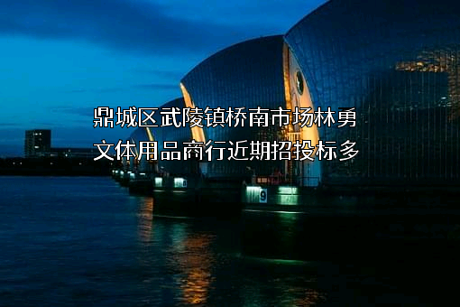 鼎城区武陵镇桥南市场林勇文体用品商行
