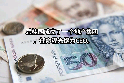 碧桂园控股有限公司