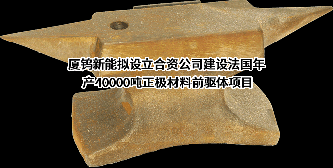 厦门厦钨新能源材料股份有限公司