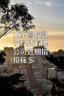山东鲁软数字科技有限公司