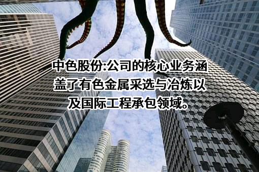 中国有色金属建设股份有限公司