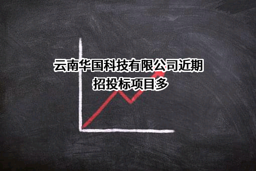 云南华国科技有限公司