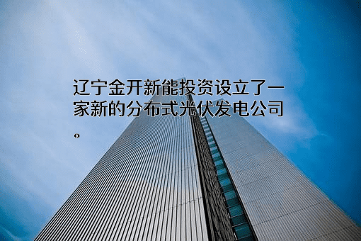 金开新能源股份有限公司