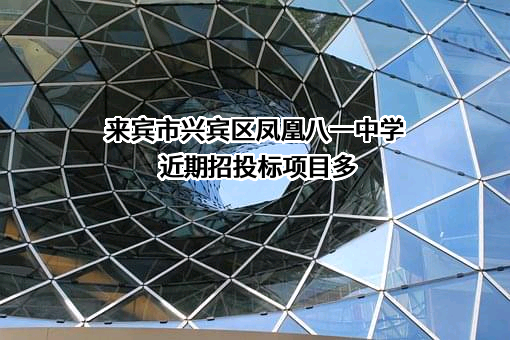 来宾市兴宾区凤凰八一中学
