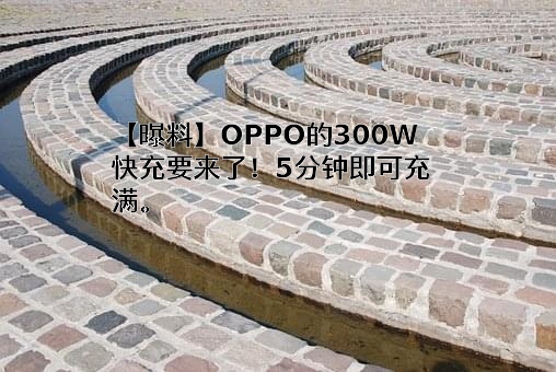 OPPO广东移动通信有限公司