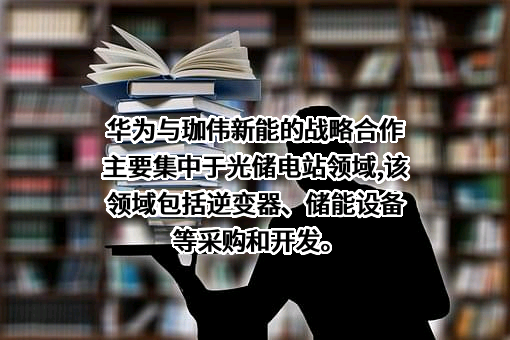 华为技术有限公司