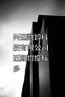 兴迈数智科技有限公司