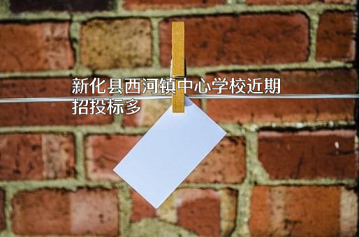 新化县西河镇中心学校