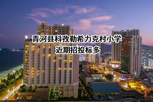 青河县科孜勒希力克村小学