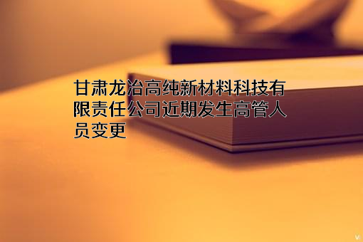 甘肃龙冶高纯新材料科技有限责任公司