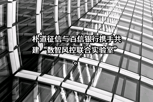 朴道征信有限公司