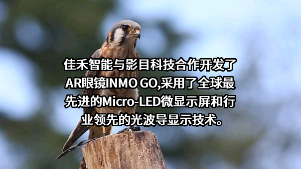 佳禾智能科技股份有限公司