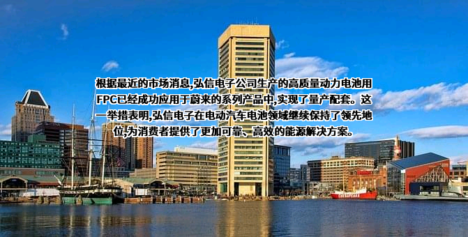 厦门弘信电子科技集团股份有限公司