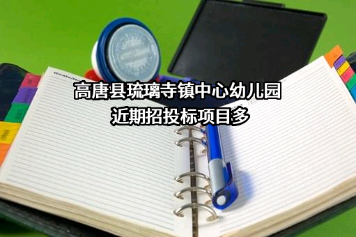 高唐县琉璃寺镇中心幼儿园近期招投标项目多