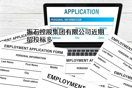 振石控股集团有限公司