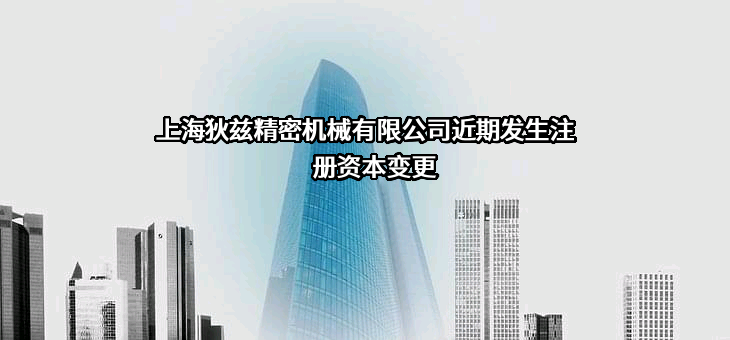 上海狄兹精密机械有限公司