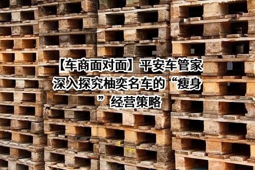 平安车管家服务有限公司