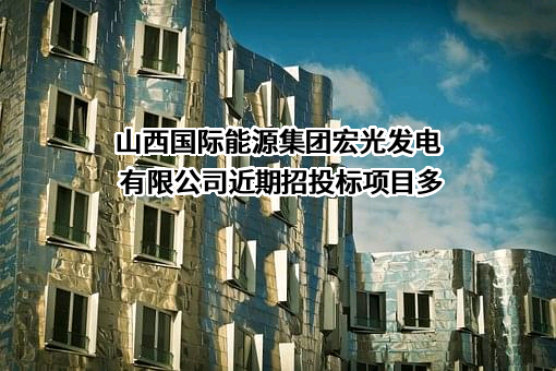 山西国际能源集团宏光发电有限公司