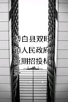 博白县双旺镇人民政府