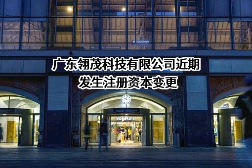 广东翎茂科技有限公司