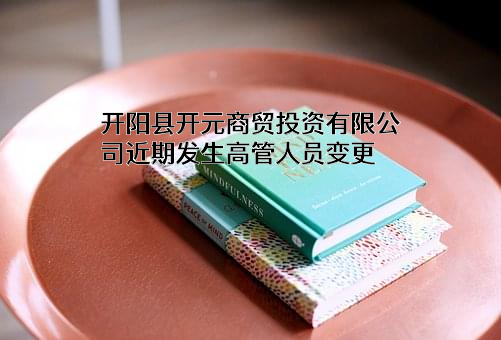 开阳县开元商贸投资有限公司