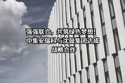 中集安瑞科控股有限公司