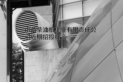 山西柴油机工业有限责任公司