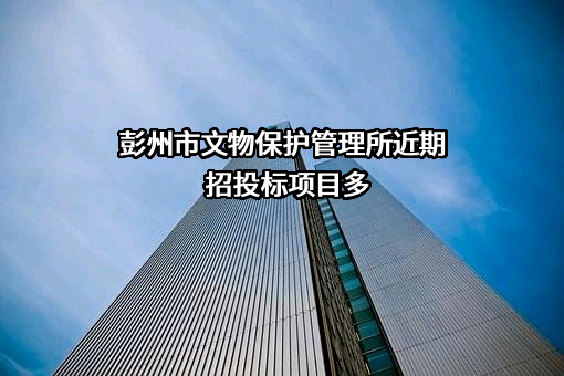 彭州市文物保护管理所近期招投标项目多