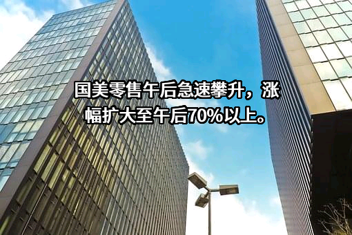 国美控股集团有限公司